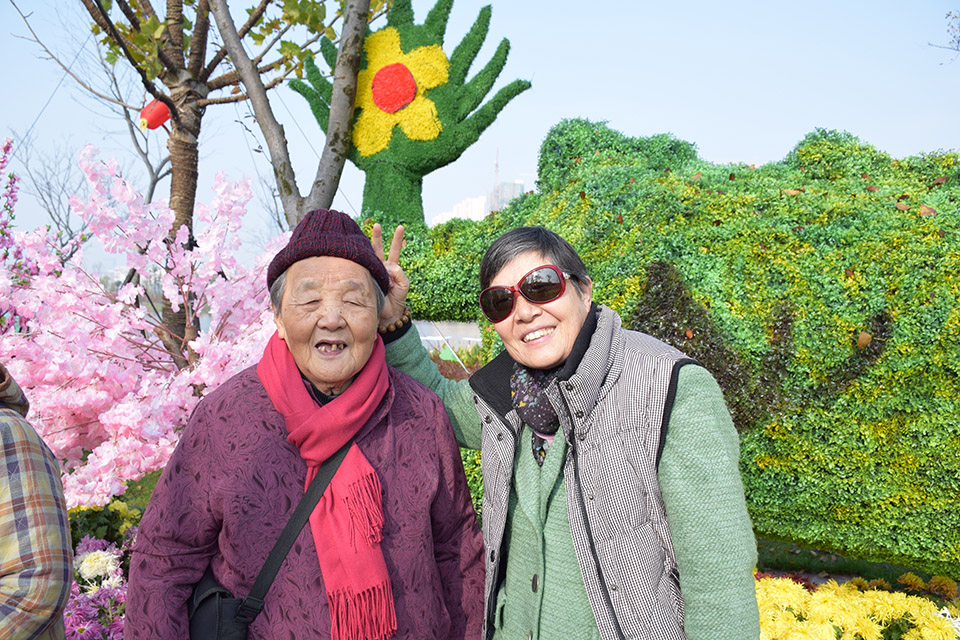 開發區能達公園賞菊 