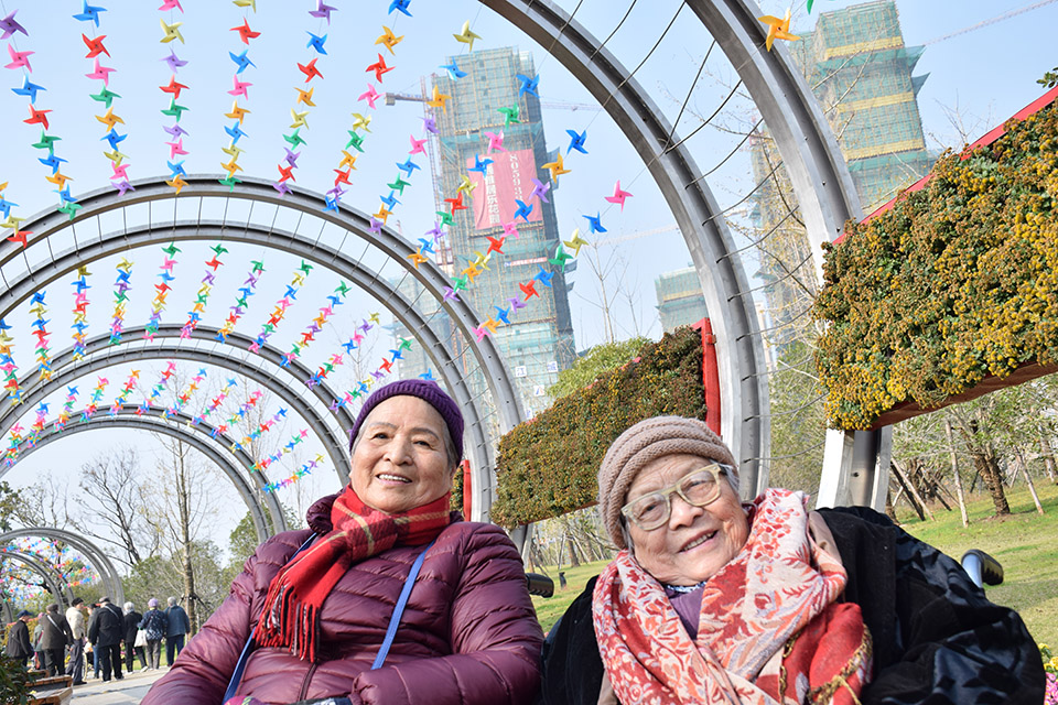 開發區能達公園賞菊